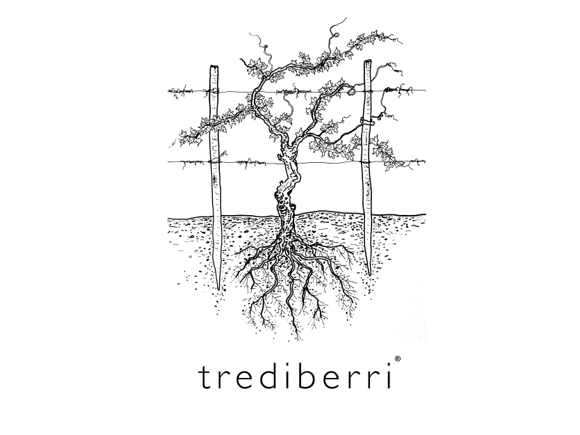 trediberri